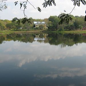 zoo lake