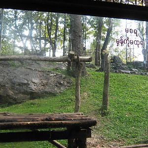 enclosure for Leopard (Panthera pardus)