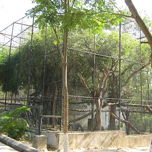Red Panda enclosure