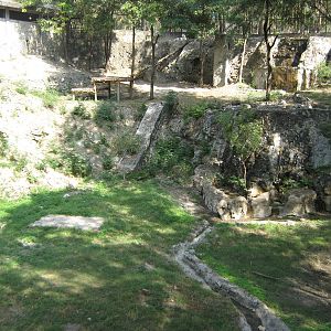 white tiger enclosure