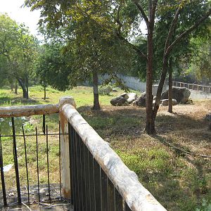 enclosure for Asiatic Black Bear (Ursus thibetanus)