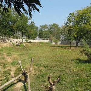enclosure for Asiatic Black Bear (Ursus thibetanus)