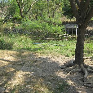 enclosure for Sarus Cranes