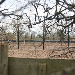 new banteng enclosure Chester Zoo 7 March 2015