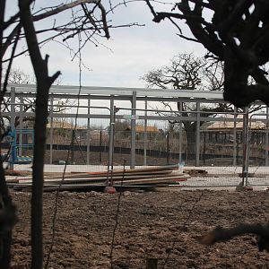 new banteng house Chester Zoo 7 March 2015