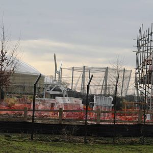 Islands Chester Zoo 7 March 2015