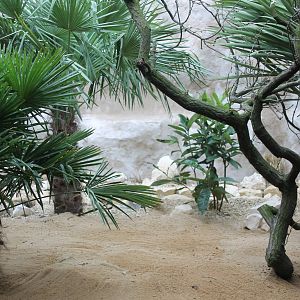 aviary Parrot Breeding Centre Chester Zoo 2015