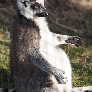 Enjoying the sunshine, 7th March 2015