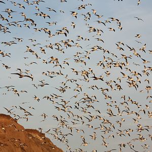 Wishing (If I Had A Photograph Of You), 7th March 2015