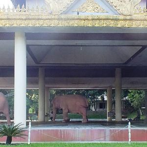 White Elephants - October 2012