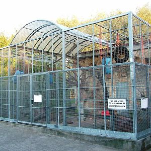 Monkey Enclosure at Vogelpark Biebesheim, 05/09/2010