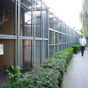 Aviaries at Vogelpark Biebesheim, 05/09/2010