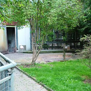 Flamingo Enclosure at Vogelpark Biebesheim, 05/09/2010
