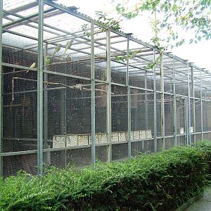 Aviaries at Vogelpark Biebesheim, 05/09/2010