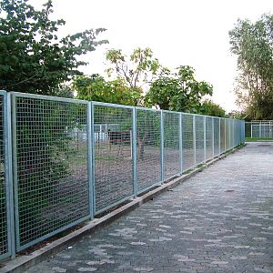 Ostrich Paddock at Vogelpark Biebesheim, 05/09/2010