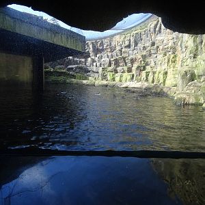 Bass rock (sea bird enclosure)