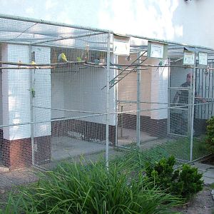 Aviaries at Vogelpark Reilingen, 06/09/2010