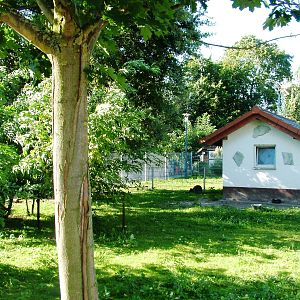 Wallaby Paddock at Vogelpark Reilingen, 06/09/2010