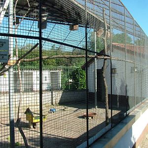 Parakeet Aviary at Vogelpark Reilingen, 06/09/2010