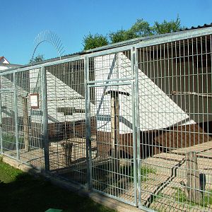 Bird of Prey Aviaries at Vogelpark Reilingen, 06/09/2010
