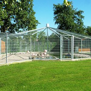 Maximum Security Flamingos at Vogelpark Oberhausen, 06/09/2010