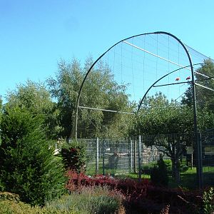 Ibis Aviary at Vogelpark Oberhausen, 06/09/2010