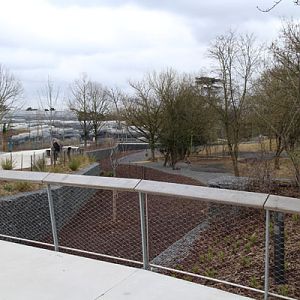 guanaco rhea mara exhibit