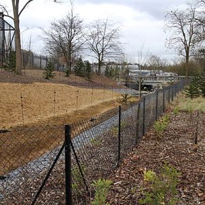 guanaco rhea mara exhibit