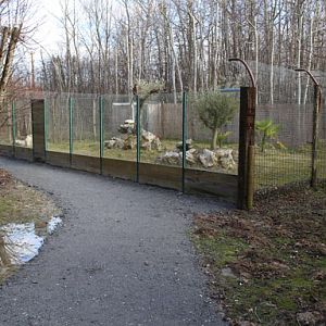 new sand cat exhibit