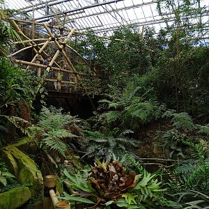 Inside the Tropical House
