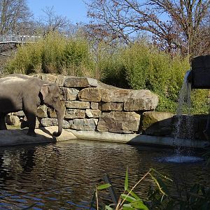 Part of the elephant enclosure