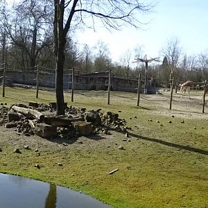 Giraffe/antelope enclosure