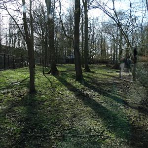 Spotted hyena enclosure