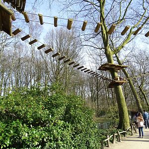 Coati climbing structure