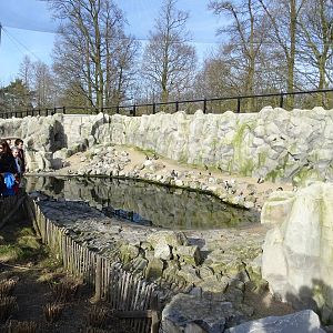 Pinguin enclosure