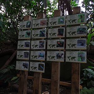 Signage inside the Tropical house