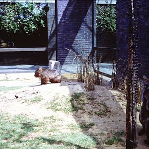 Inside the Clore, September 1967