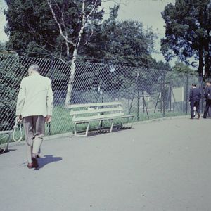 Walking a Cheetah, July 1965
