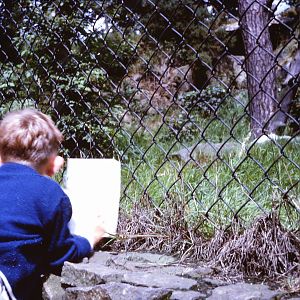 Any suggestions as to what was in here? July 1965