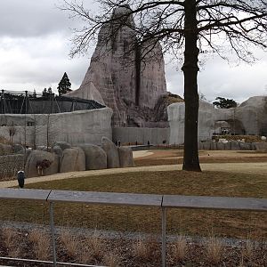 giraffe stork kudu ostrich exhibit