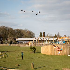 Butterfly / crocodile exhibit : Whipsnade : 14 Mar 2015