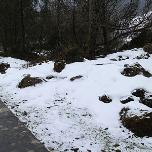 alpine marmot exhibit