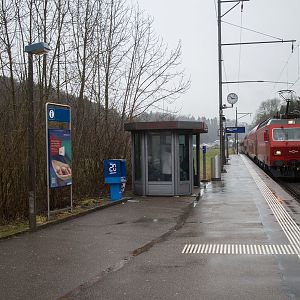 train platform to access zoo