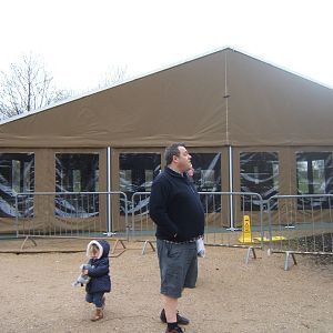 The Mushroom replacement