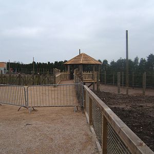 View of Giraffe enclosure construction