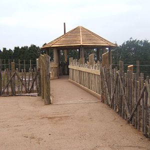 View of Giraffe enclosure construction