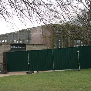 Current Gibbon complex