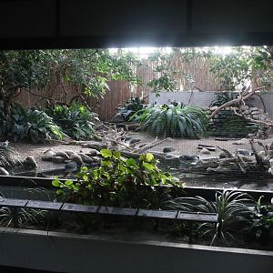 The biggest aviary in Vogelhaus