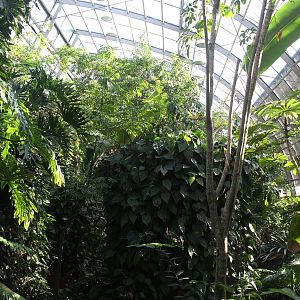 Inside Amazonienhaus