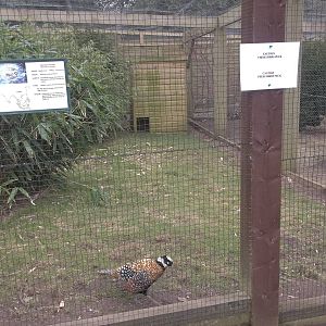 A new sign on the aviary, 13th March 2015